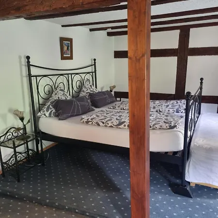 Zur Traube Hotel Bad Wimpfen