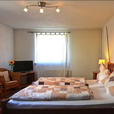 Hotel Zur Traube 3*
