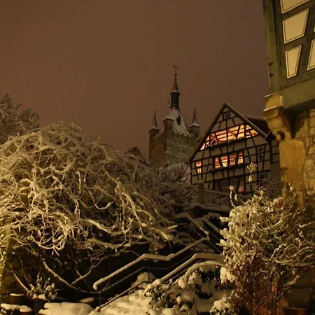 Hotel Zur Traube Bad Wimpfen