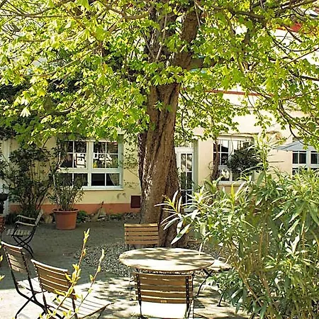 Hotel Zur Traube Bad Wimpfen
