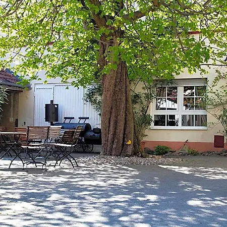 Hotel Zur Traube 3*