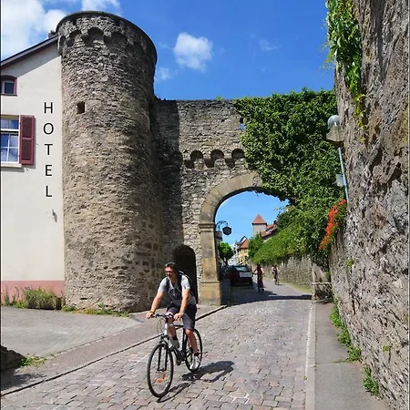 Zur Traube Hotel Bad Wimpfen