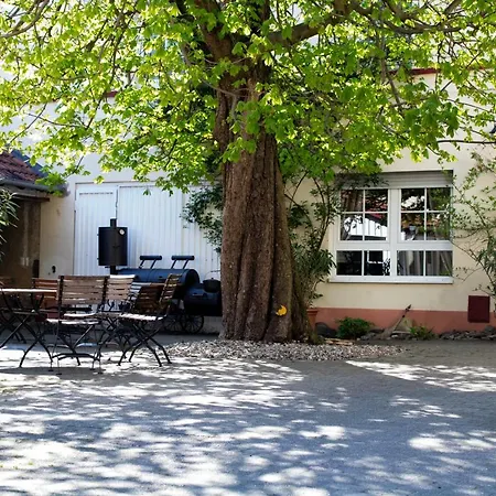 Hotel Zur Traube 3*