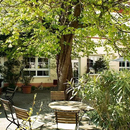 Zur Traube Bad Wimpfen